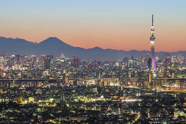 CARPE DIAMOND CORP - Tokyo