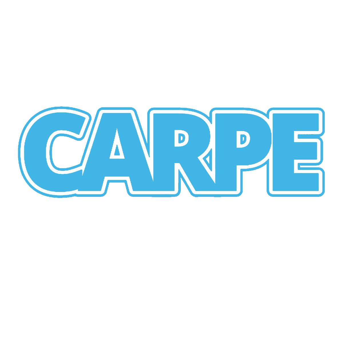 CARPE DIAMOND CORP