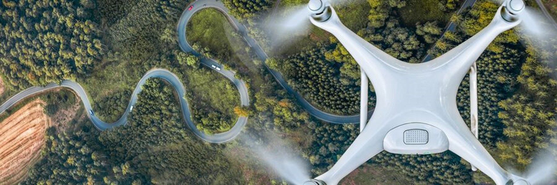 Opportunities for software developers will increase by 21.5%